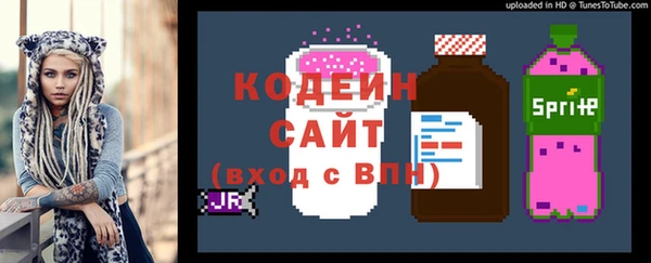 индика Балахна