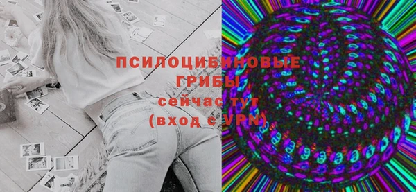 индика Балахна