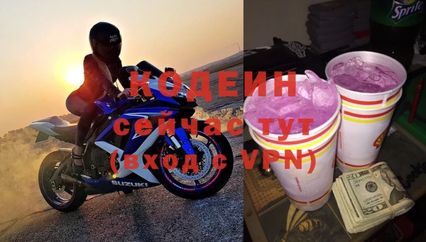 индика Балахна