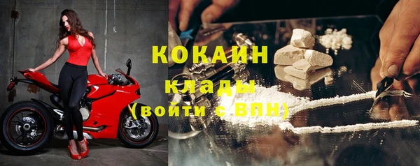 индика Балахна