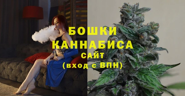 индика Балахна