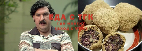индика Балахна