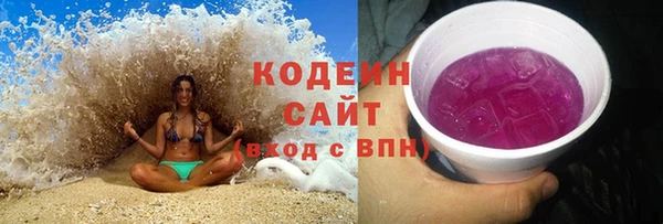 индика Балахна