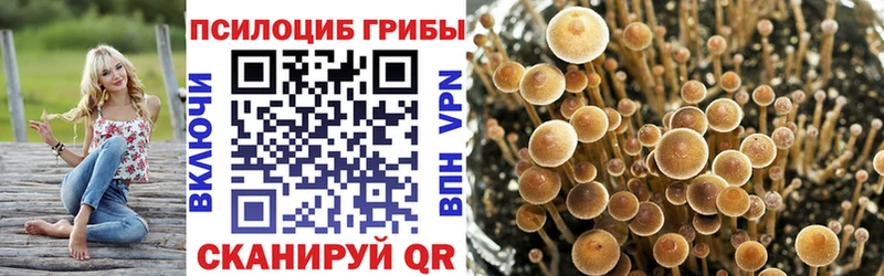 купить   Санкт-Петербург  Галлюциногенные грибы Magic Shrooms 