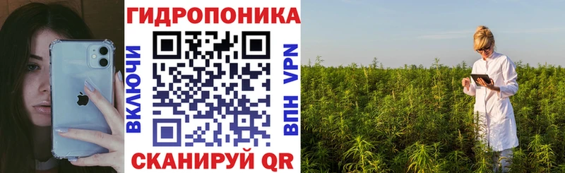 Конопля марихуана  Санкт-Петербург 